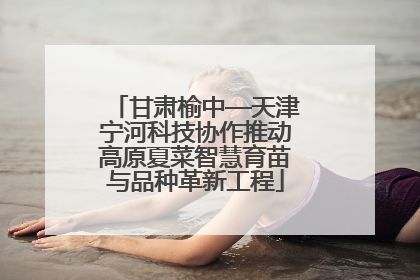 甘肃榆中—天津宁河科技协作推动高原夏菜智慧育苗与品种革新工程