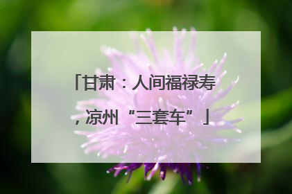 甘肃：人间福禄寿，凉州“三套车”
