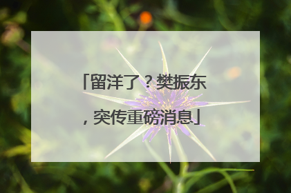 留洋了？樊振东，突传重磅消息