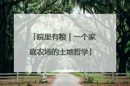 皖里有粮｜一个家庭农场的土地哲学