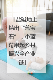盐碱地上结出“蓝宝石”，小蓝莓串起乡村振兴全产业链