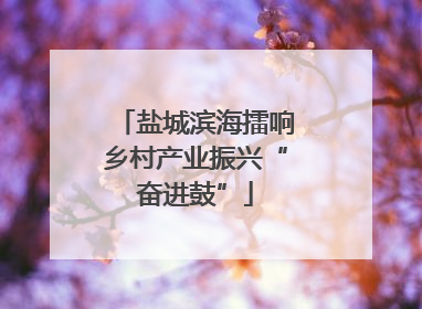 盐城滨海擂响乡村产业振兴“奋进鼓”