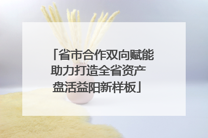 省市合作双向赋能 助力打造全省资产盘活益阳新样板