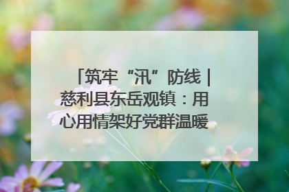筑牢“汛”防线｜慈利县东岳观镇：用心用情架好党群温暖悠长的“连心桥”