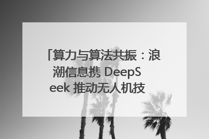 算力与算法共振：浪潮信息携 DeepSeek 推动无人机技术在舟山落地