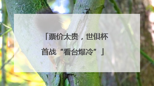 票价太贵，世俱杯首战“看台爆冷”