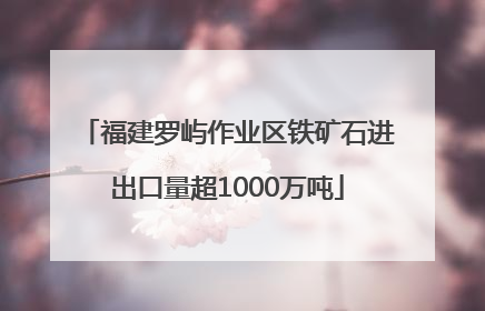 福建罗屿作业区铁矿石进出口量超1000万吨