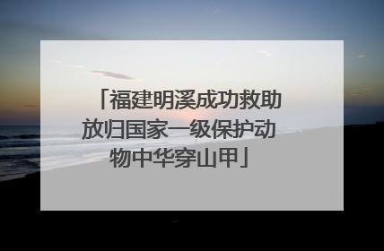 福建明溪成功救助放归国家一级保护动物中华穿山甲
