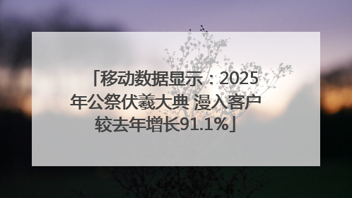 移动数据显示：2025年公祭伏羲大典 漫入客户较去年增长91.1%