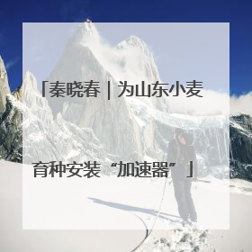 秦晓春｜为山东小麦育种安装“加速器”