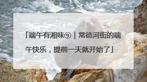 端午有湘味⑨｜常德河街的端午快乐，提前一天就开始了