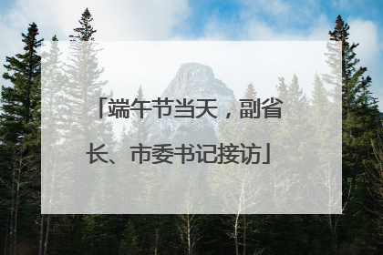 端午节当天，副省长、市委书记接访