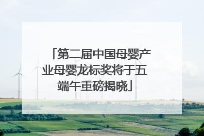 第二届中国母婴产业母婴龙标奖将于五端午重磅揭晓