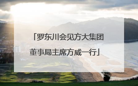 罗东川会见方大集团董事局主席方威一行