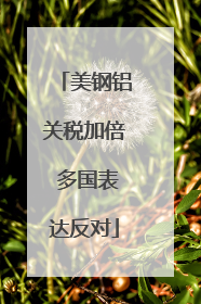 美钢铝关税加倍 多国表达反对