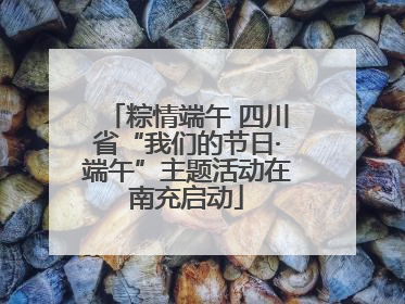 粽情端午 四川省“我们的节日·端午”主题活动在南充启动