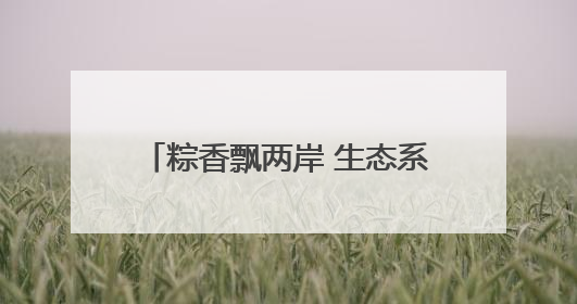 粽香飘两岸 生态系乡情 奉台两地端午活动深化生态文化交流