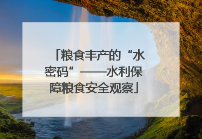 粮食丰产的“水密码”——水利保障粮食安全观察
