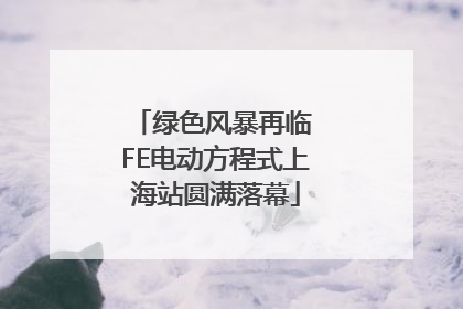 绿色风暴再临 FE电动方程式上海站圆满落幕