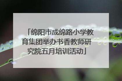 绵阳市成绵路小学教育集团举办书香教师研究院五月培训活动