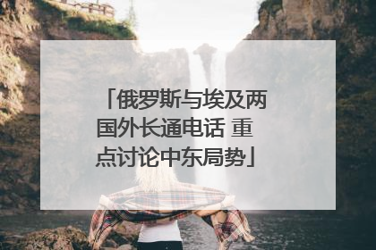 俄罗斯与埃及两国外长通电话 重点讨论中东局势