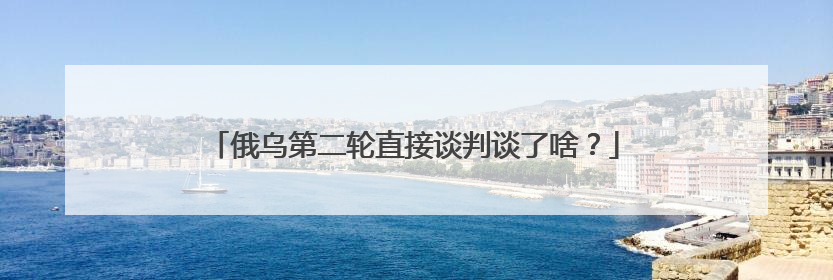 俄乌第二轮直接谈判谈了啥？