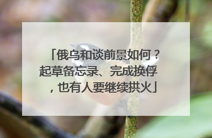 俄乌和谈前景如何？起草备忘录、完成换俘，也有人要继续拱火