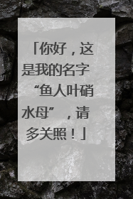 你好，这是我的名字“鱼人叶硝水母”，请多关照！