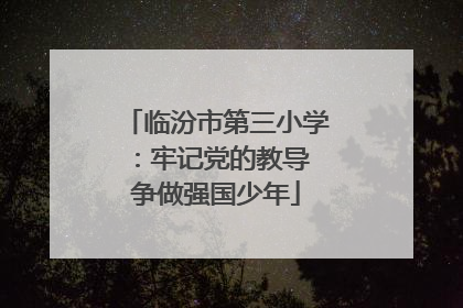 临汾市第三小学：牢记党的教导 争做强国少年