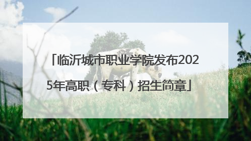 临沂城市职业学院发布2025年高职（专科）招生简章