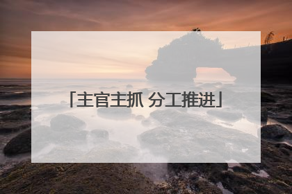 主官主抓 分工推进