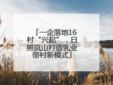 一企落地16村“兴起”，日照岚山打造乳业带村新模式
