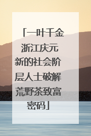 一叶千金 浙江庆元新的社会阶层人士破解荒野茶致富密码