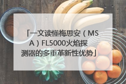 一文读懂梅思安（MSA）FL5000火焰探测器的多重革新性优势