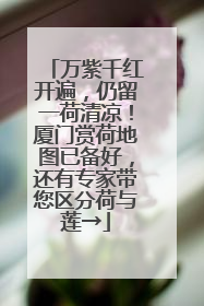 万紫千红开遍，仍留一荷清凉！厦门赏荷地图已备好，还有专家带您区分荷与莲→