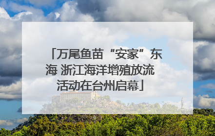 万尾鱼苗“安家”东海 浙江海洋增殖放流活动在台州启幕