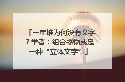三星堆为何没有文字？学者：组合器物或是一种“立体文字”