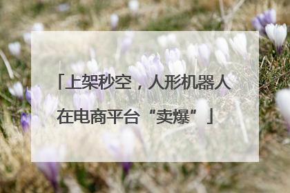 上架秒空，人形机器人在电商平台“卖爆”