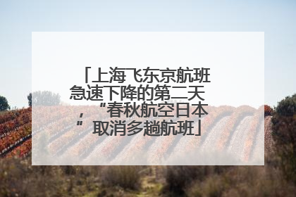 上海飞东京航班急速下降的第二天，“春秋航空日本”取消多趟航班