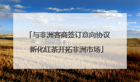 与非洲客商签订意向协议 新化红茶开拓非洲市场