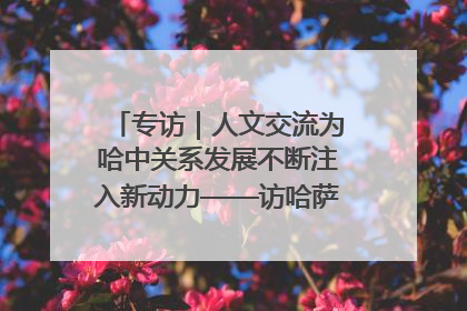 专访｜人文交流为哈中关系发展不断注入新动力——访哈萨克斯坦文化与信息部部长巴拉耶娃