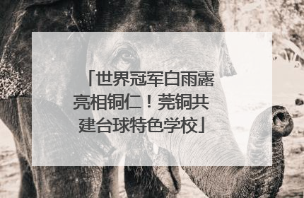 世界冠军白雨露亮相铜仁！莞铜共建台球特色学校