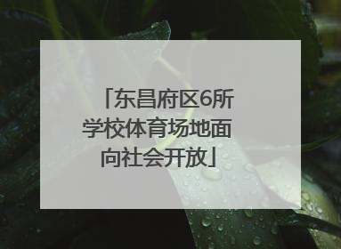 东昌府区6所学校体育场地面向社会开放