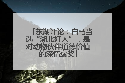 东湖评论：白马当选“湖北好人”，是对动物伙伴道德价值的深情褒奖