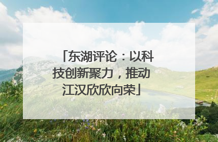 东湖评论：以科技创新聚力，推动江汉欣欣向荣