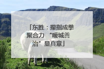 东胜：攥指成拳聚合力 “暖城善治”显真章