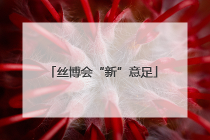 丝博会“新”意足