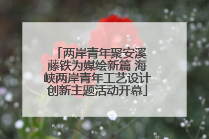 两岸青年聚安溪 藤铁为媒绘新篇 海峡两岸青年工艺设计创新主题活动开幕