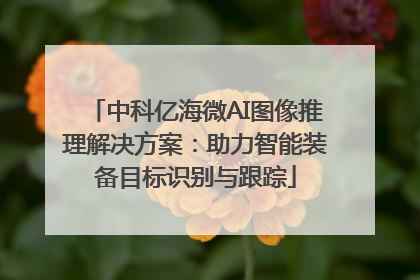 中科亿海微AI图像推理解决方案：助力智能装备目标识别与跟踪