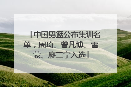 中国男篮公布集训名单，周琦、曾凡博、雷蒙、廖三宁入选